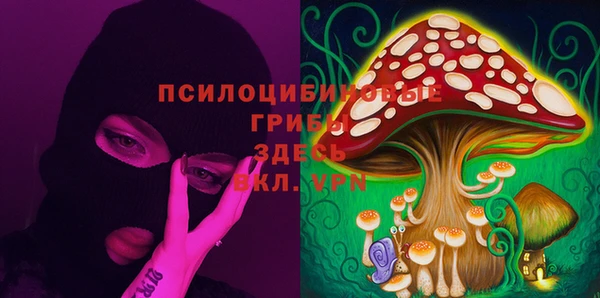 эйфоретик Иннополис