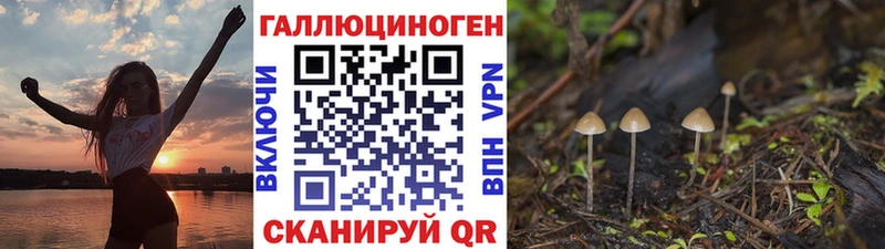 MEGA ССЫЛКА  Менделеевск  Галлюциногенные грибы ЛСД 