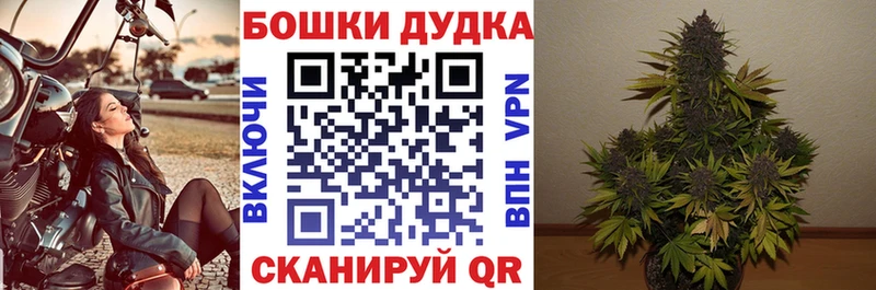Конопля гибрид  Менделеевск 